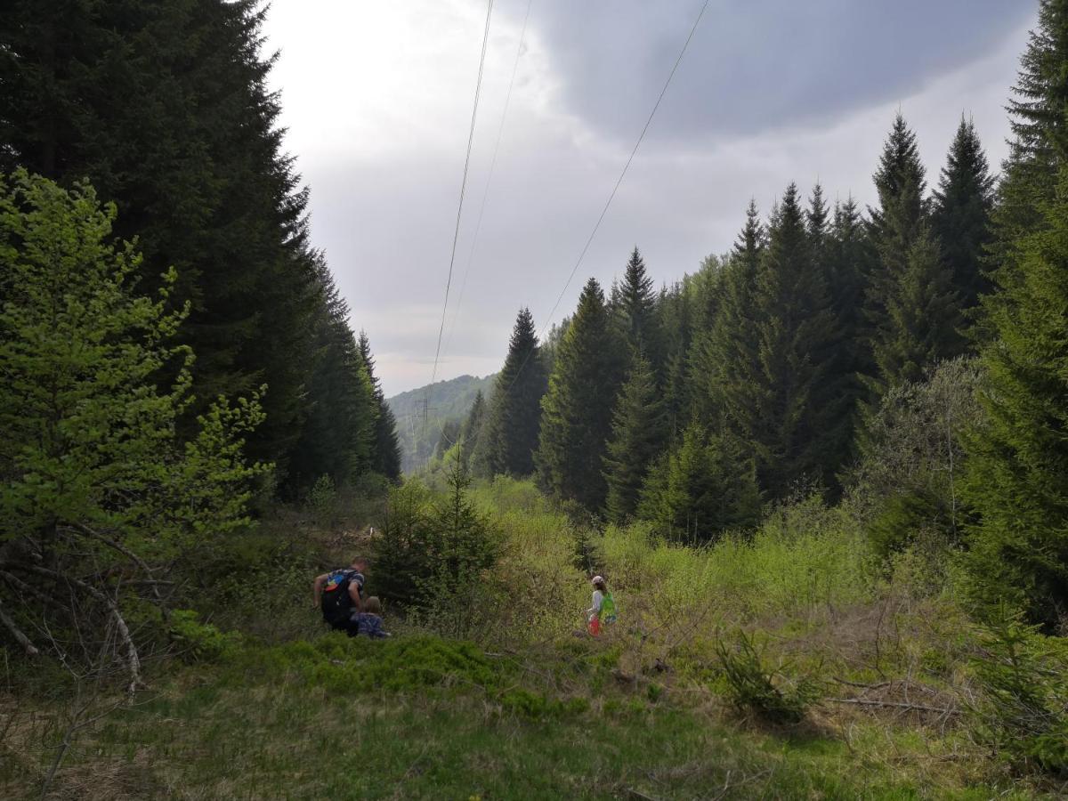 Sky Cabin Apartments Kopaonik Exteriör bild